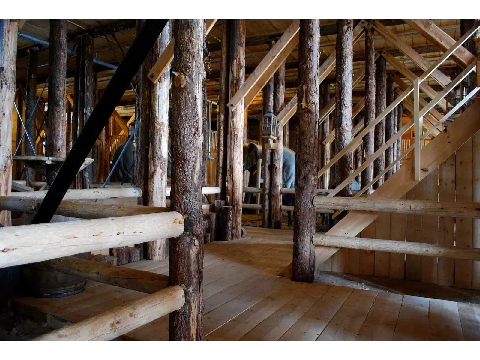 Museum schip Ark van Noach