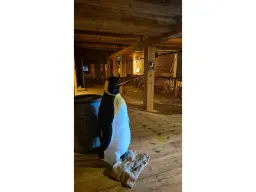 Museum schip Ark van Noach