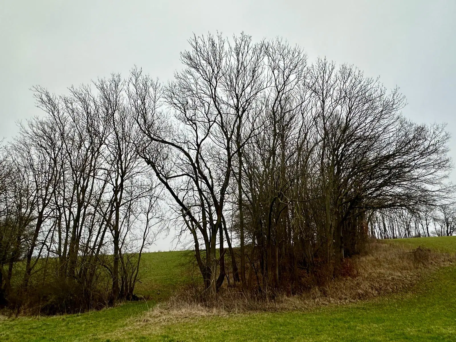 Perceel 4.060 m² Bischofroda, Thüringen - Duitsland