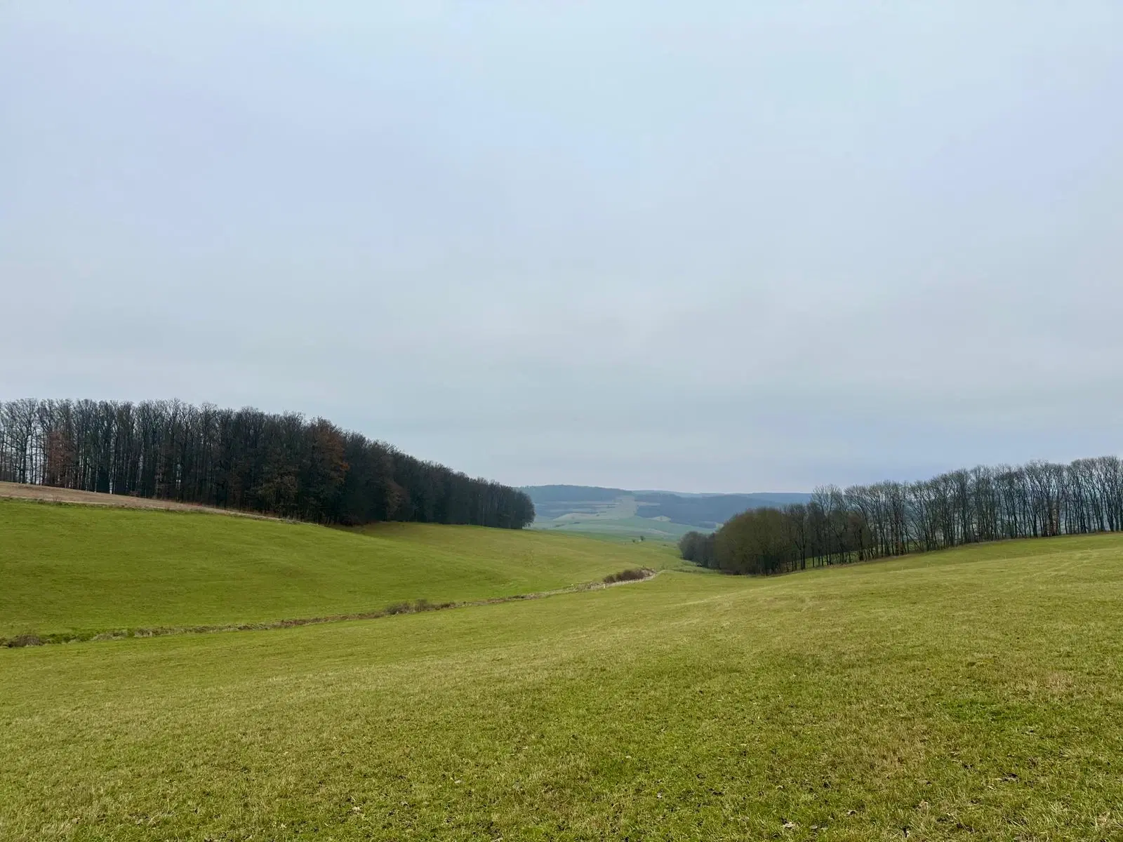 Perceel 4.060 m² Bischofroda, Thüringen - Duitsland