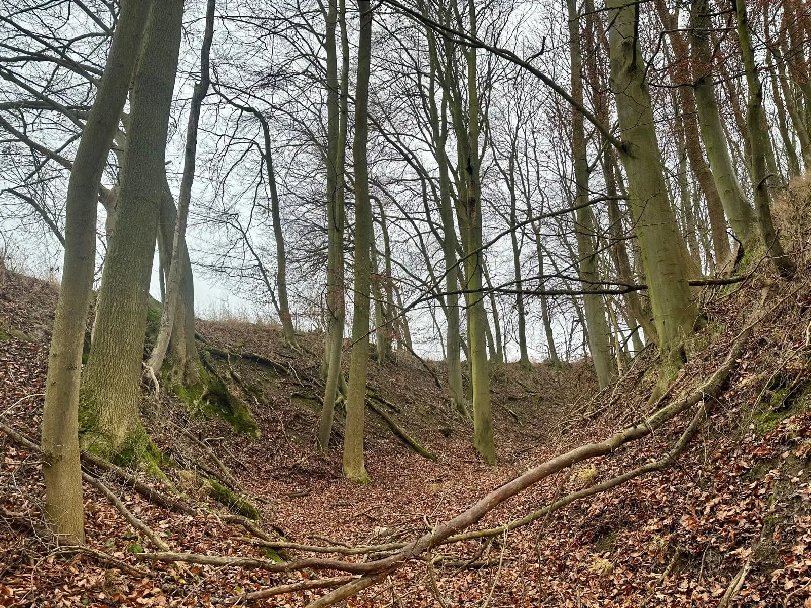 Perceel 4.060 m² Bischofroda, Thüringen - Duitsland