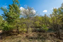 26.055 m² bosgrond - Rakovitsa, Vidin - Bulgarije