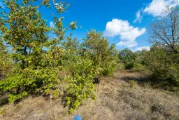 26.055 m² bosgrond - Rakovitsa, Vidin - Bulgarije