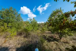 26.055 m² bosgrond - Rakovitsa, Vidin - Bulgarije