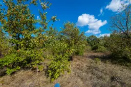 26.055 m² bosgrond - Rakovitsa, Vidin - Bulgarije