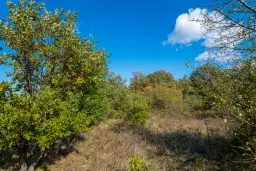 26.055 m² bosgrond - Rakovitsa, Vidin - Bulgarije