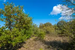 26.055 m² bosgrond - Rakovitsa, Vidin - Bulgarije