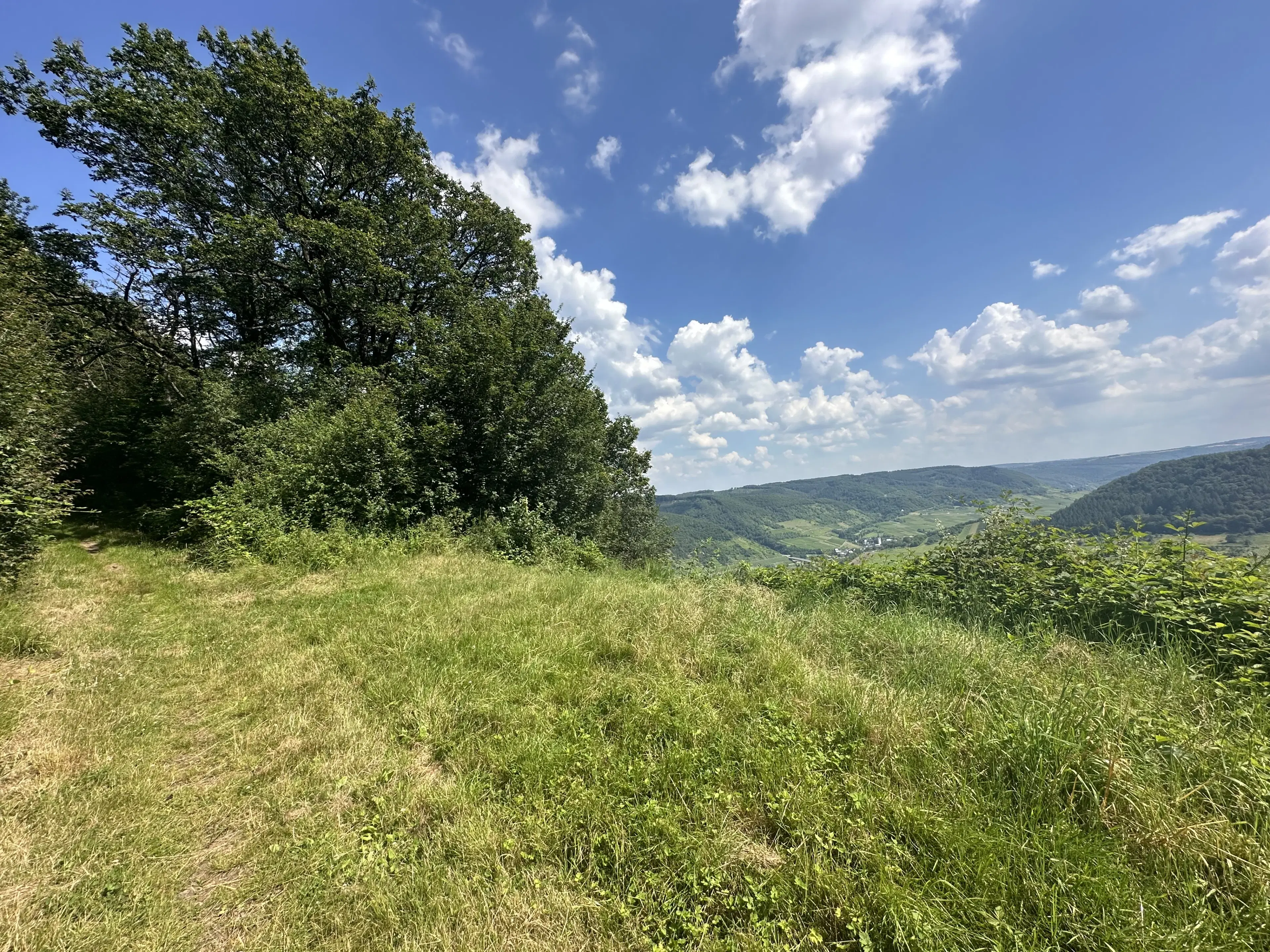 3 percelen van 604 m² met uitzicht in Cochem - Duitsland