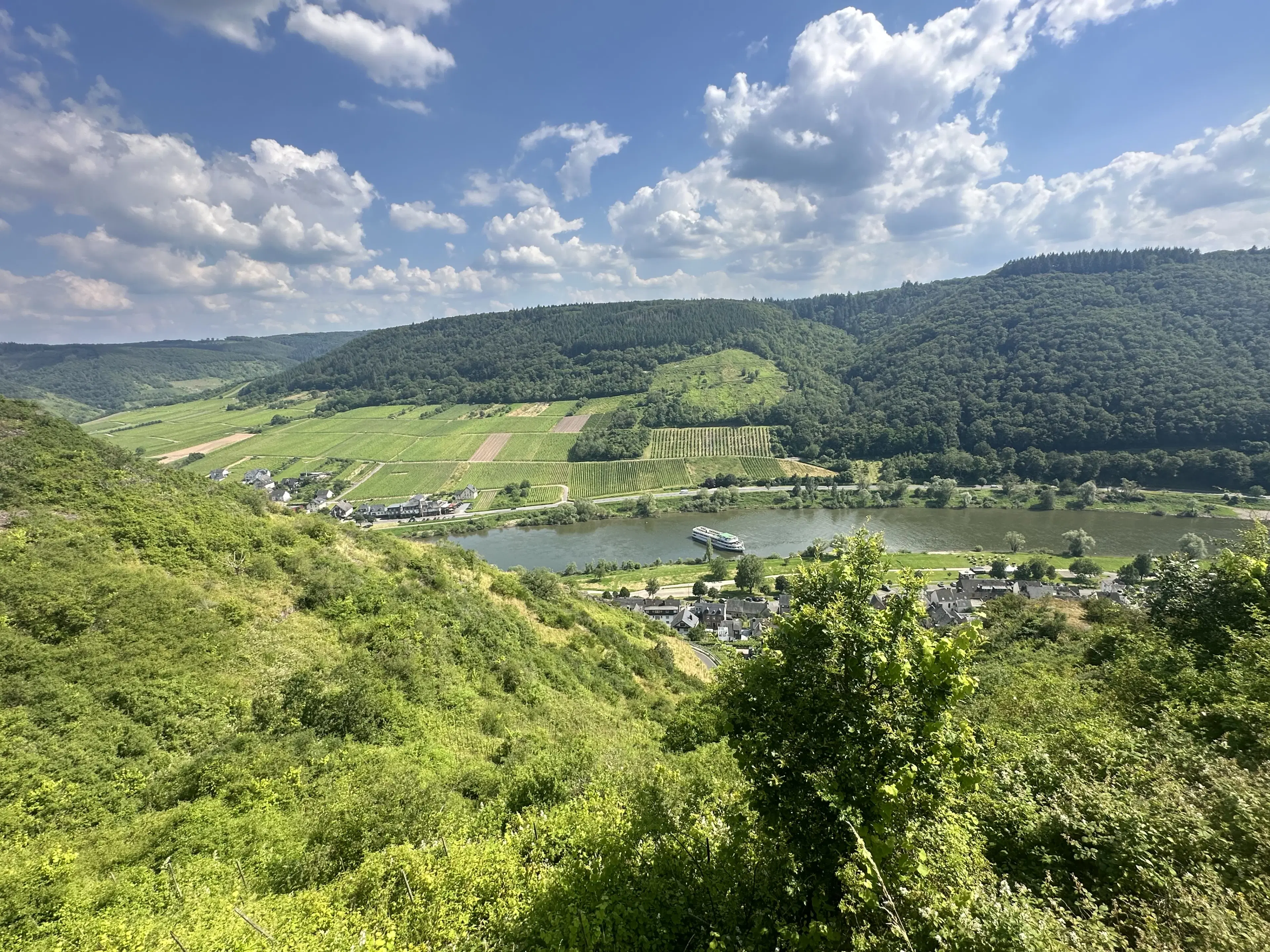 442 m² voormalige wijngaarden, ontwikkelingskans in Cochem - Duitsland