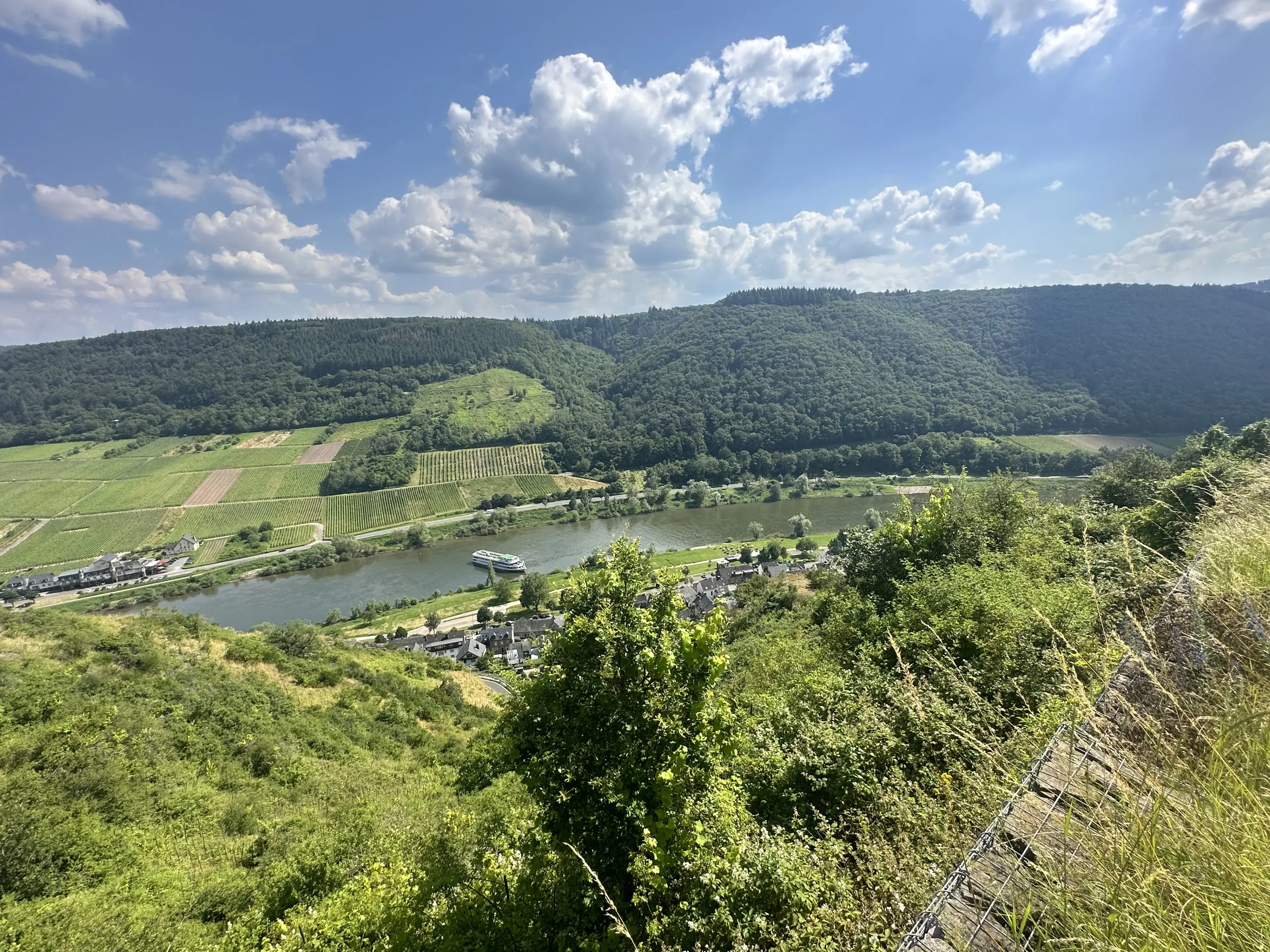 442 m² voormalige wijngaarden, ontwikkelingskans in Cochem - Duitsland