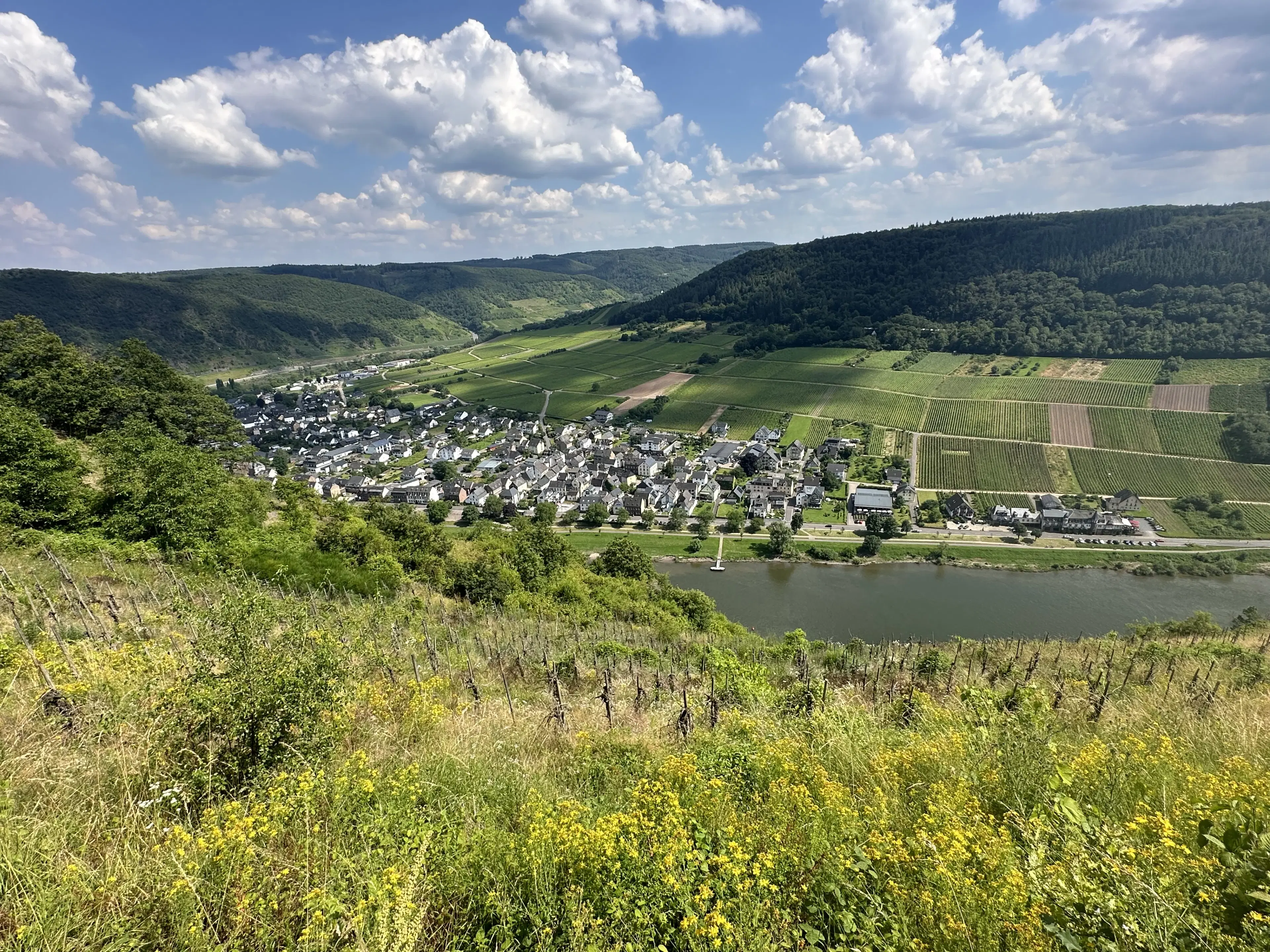 442 m² voormalige wijngaarden, ontwikkelingskans in Cochem - Duitsland