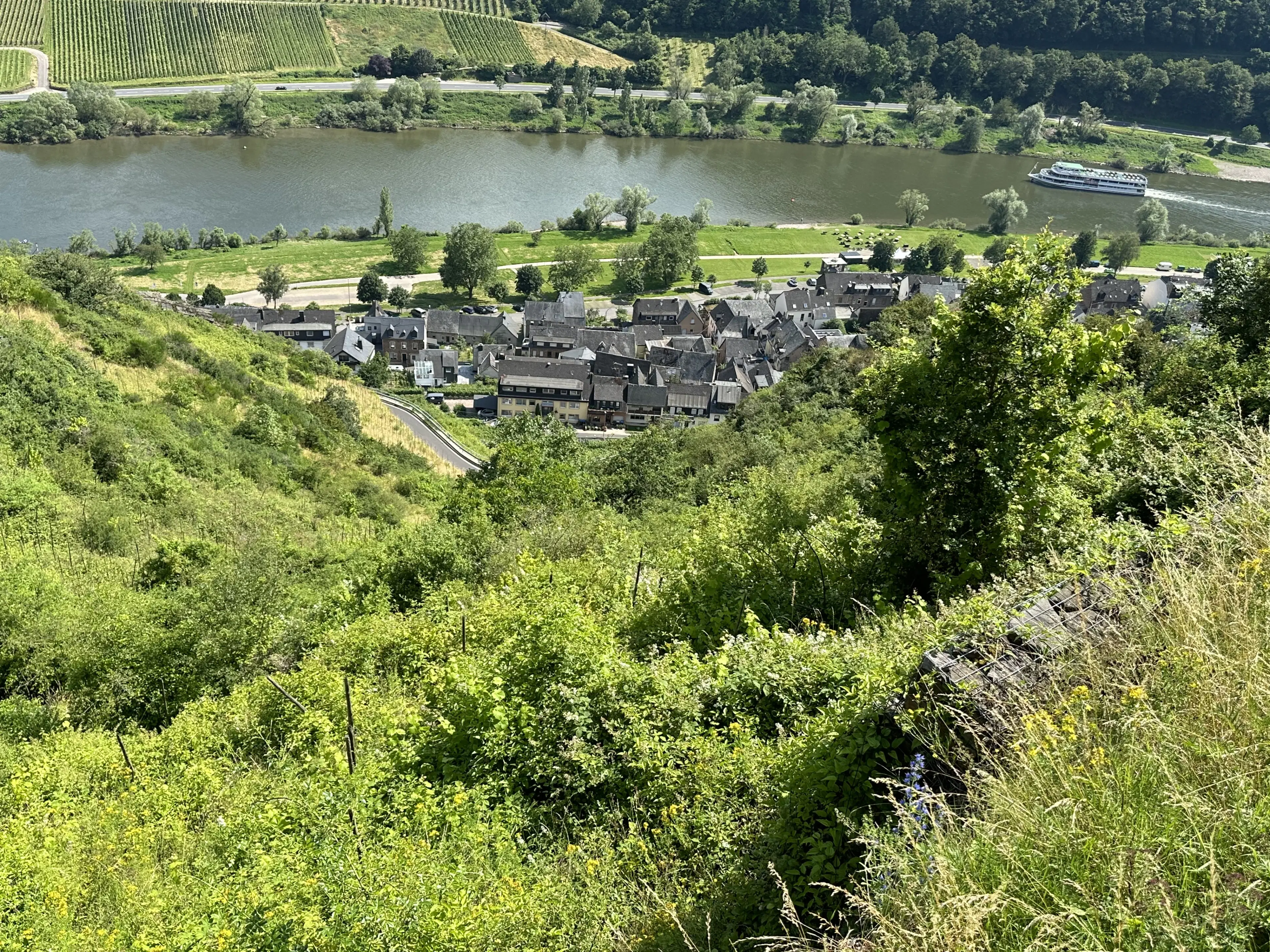 442 m² voormalige wijngaarden, ontwikkelingskans in Cochem - Duitsland