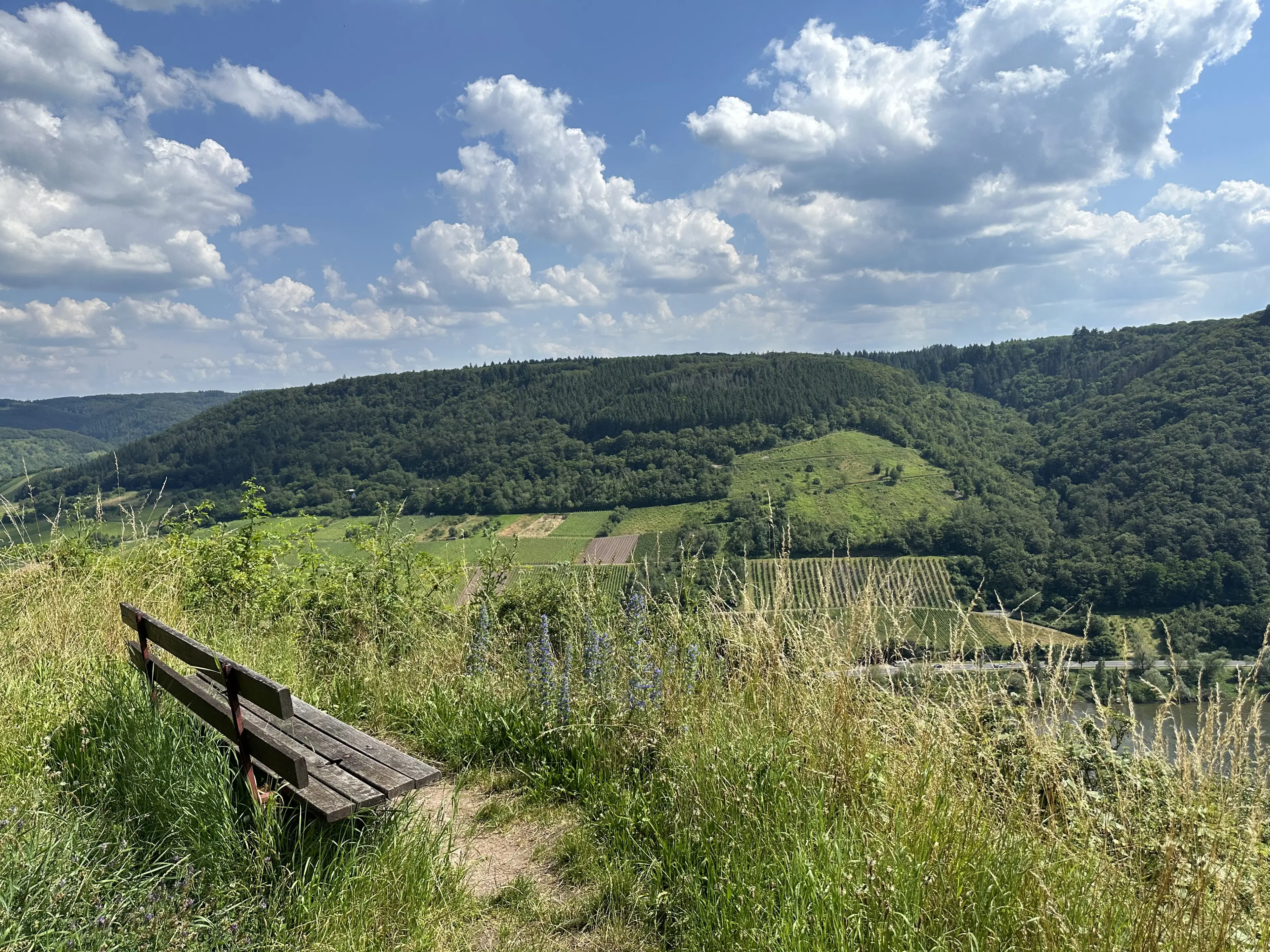 442 m² voormalige wijngaarden, ontwikkelingskans in Cochem - Duitsland