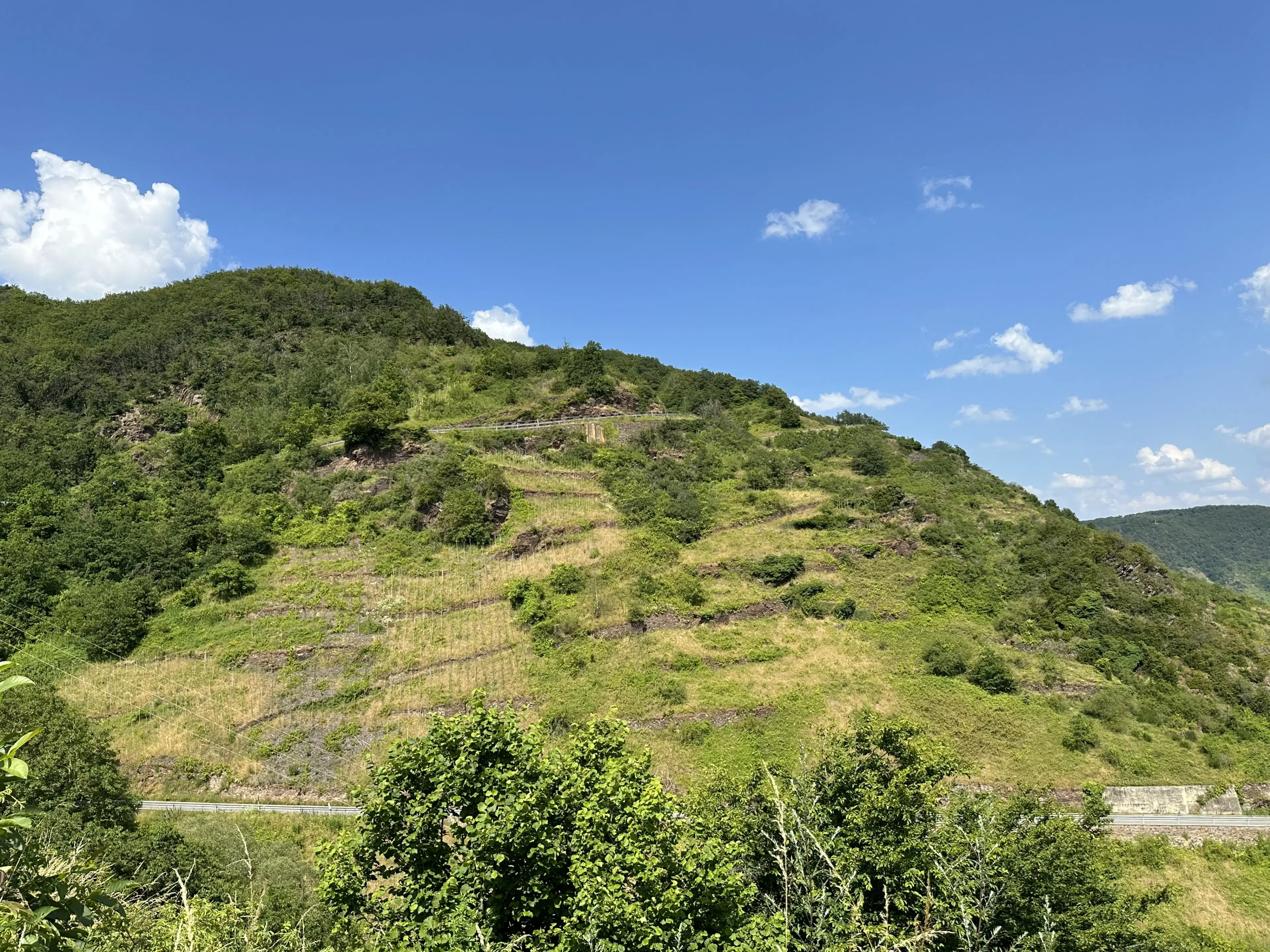 442 m² voormalige wijngaarden, ontwikkelingskans in Cochem - Duitsland