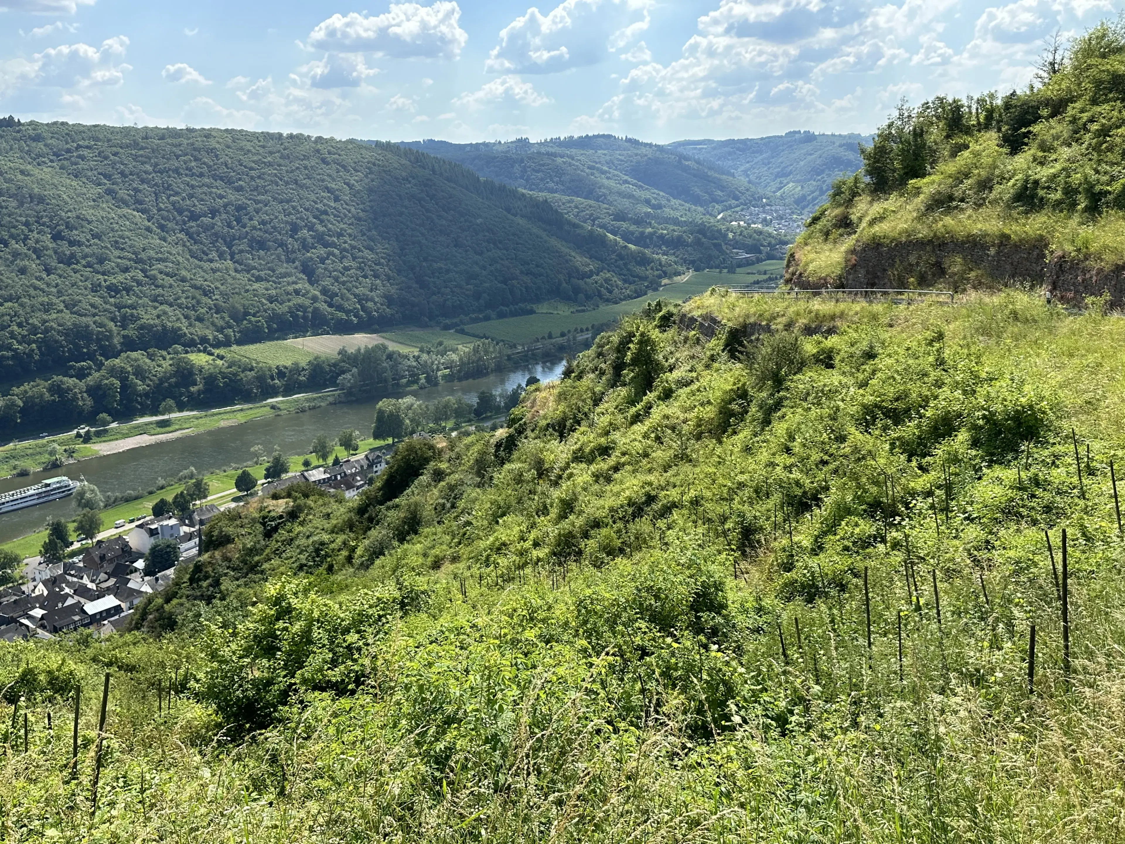 442 m² voormalige wijngaarden, ontwikkelingskans in Cochem - Duitsland