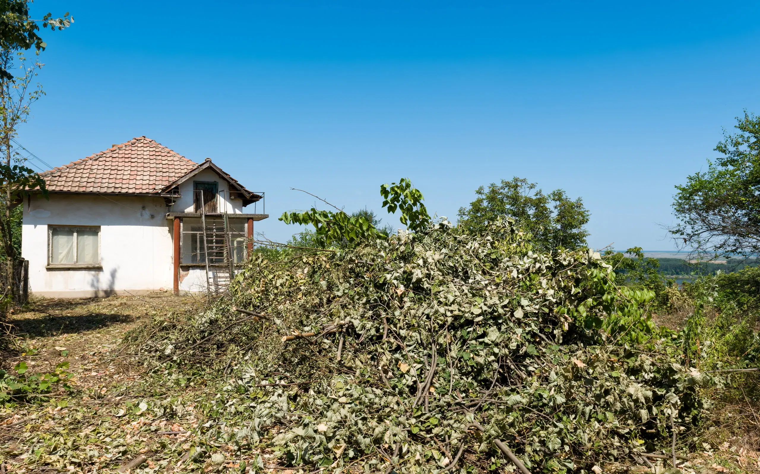 Huis met uitzicht op de rivier en groot perceel van 1.800 m² in Dolni Vadin - Bulgarije