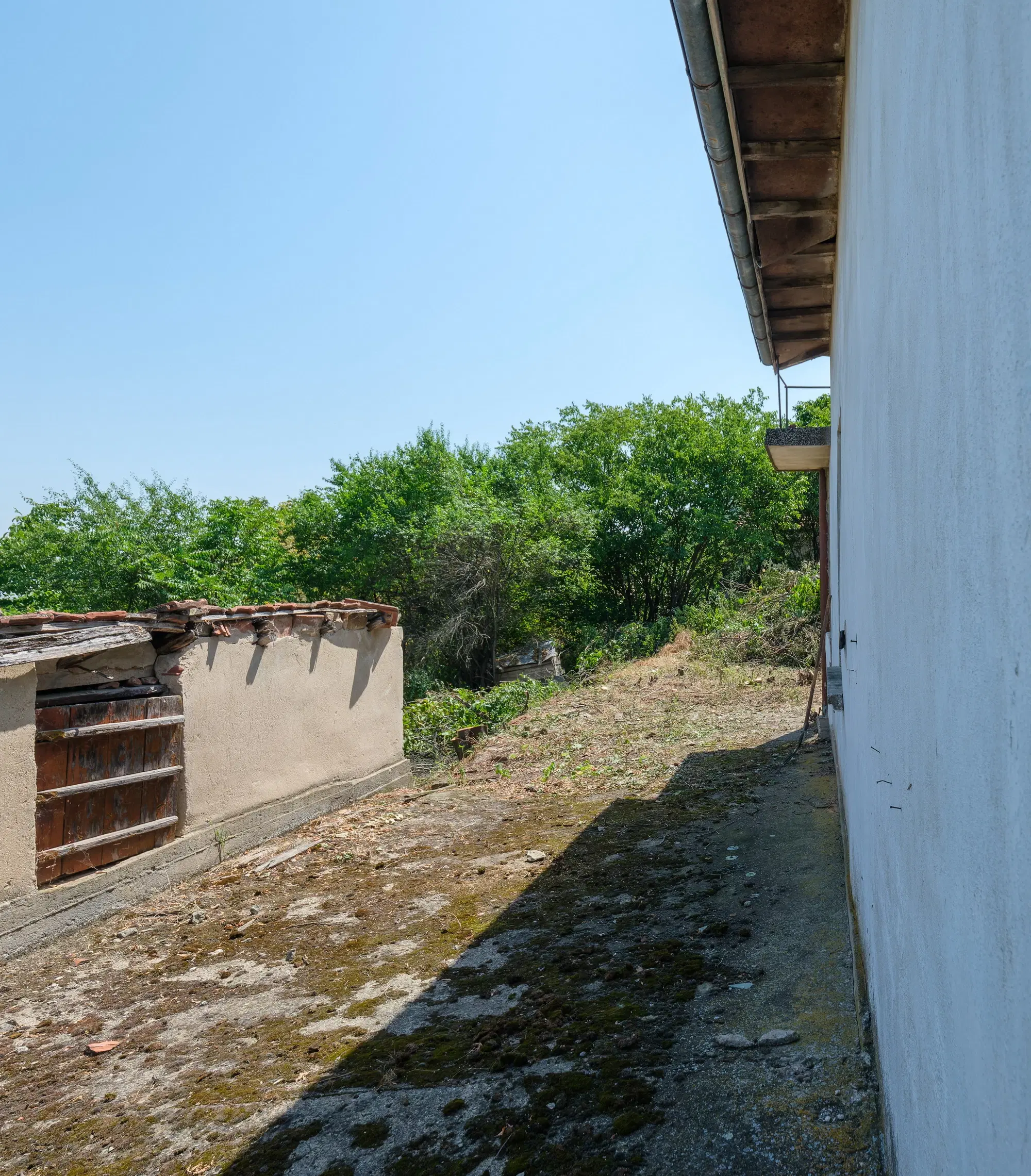 Huis met uitzicht op de rivier en groot perceel van 1.800 m² in Dolni Vadin - Bulgarije