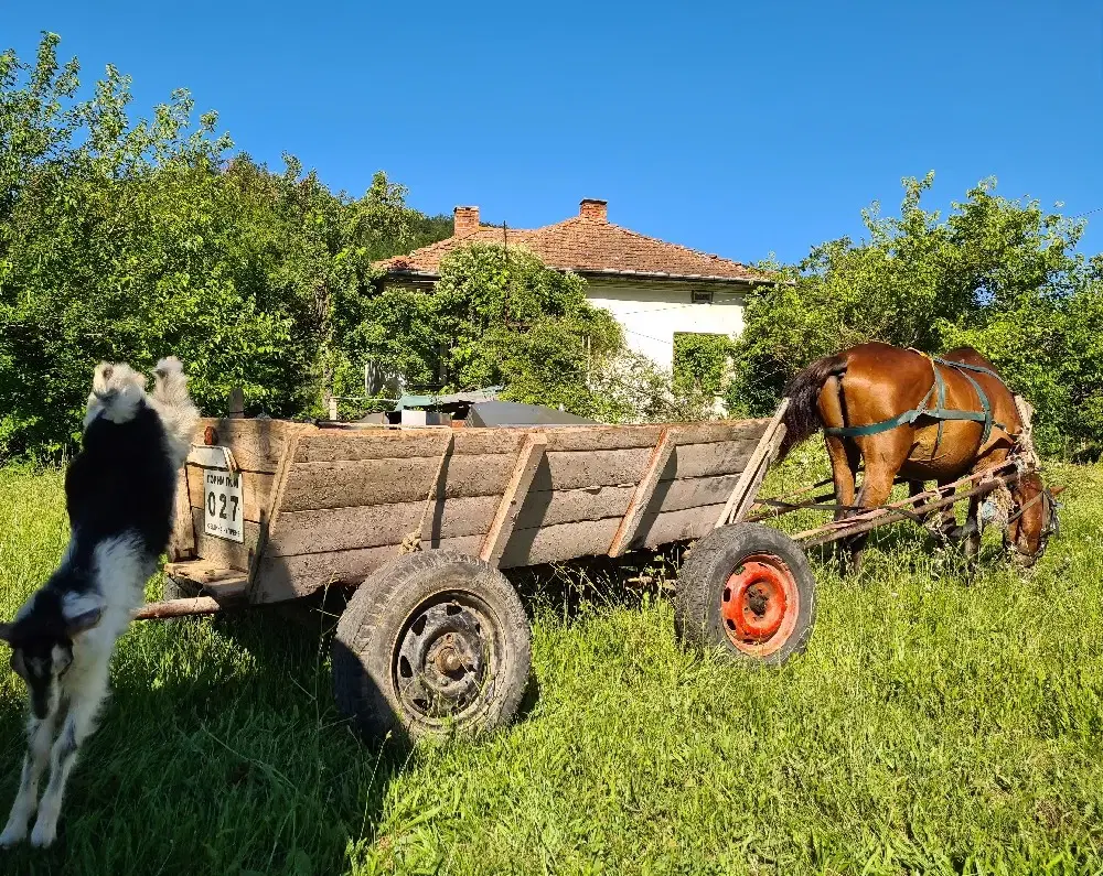 Bergwoning met vrij uitzicht op 830 m² perceel in Sredogriv - Bulgarije