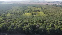 38.679 m² bosgrond in Swedt/Oder, Brandenburg - Duitsland