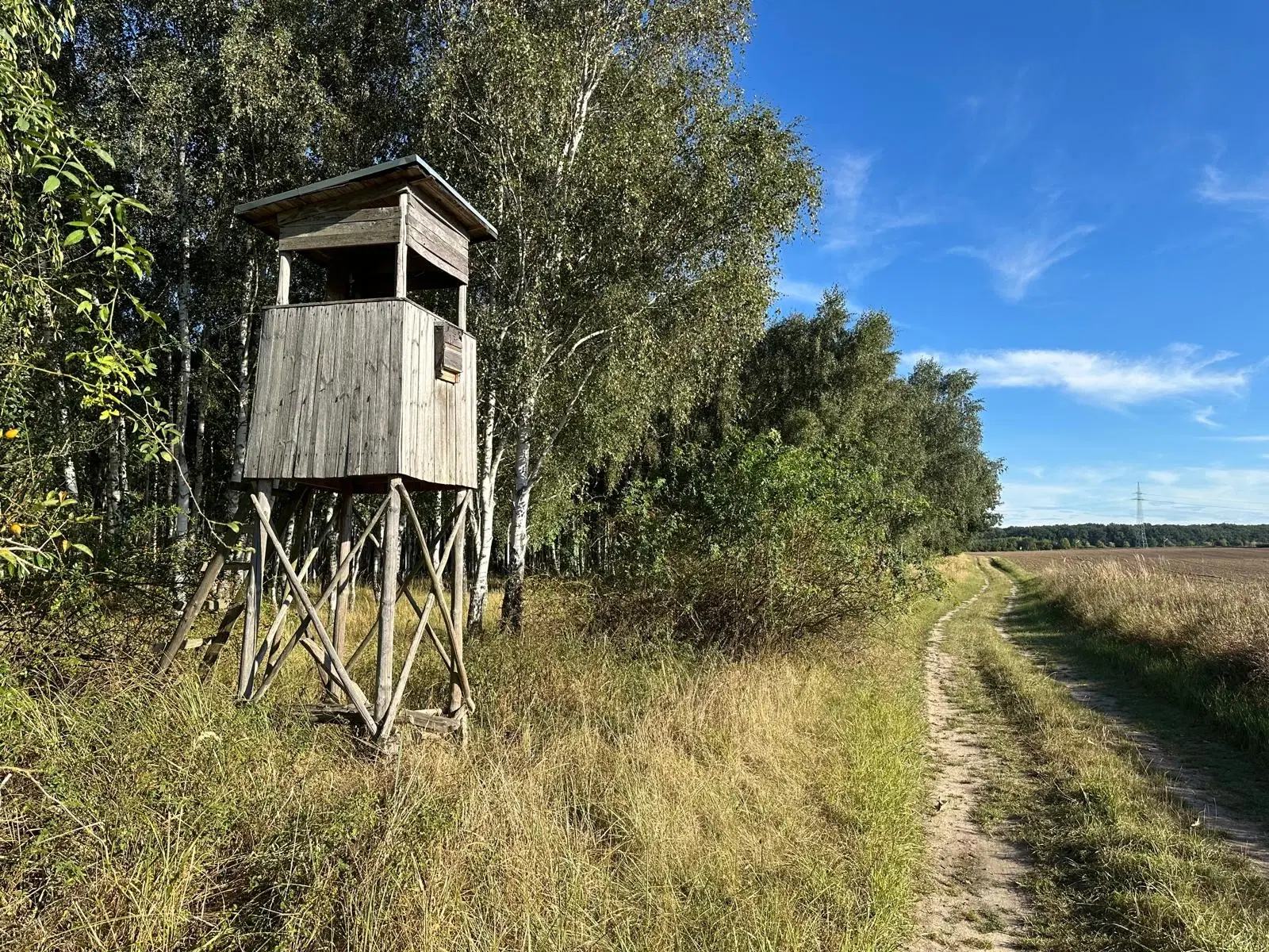 38.679 m² bosgrond in Swedt/Oder, Brandenburg - Duitsland