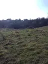 Twee huizen + 750 m² grond en bijgebouwen in Kireevo - Bulgarije