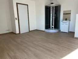 Gerenoveerd herenhuis met 6 slaapkamers / studios in La Trimouille, Frankrijk
