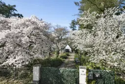 Villa De Horst | Utrechtseweg 341 te Amersfoort