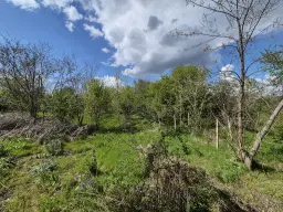 Huis + bijgebouw + 1.700 m² grond in Chervena, Veliko Tarnovo - Bulgarije