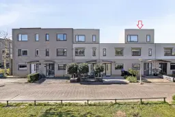 Dordrecht, Meranti 204