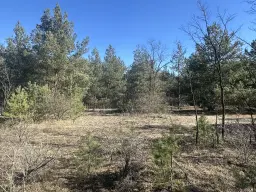 2 vrije percelen van totaal 4.710 m² in Spremberg, Brandenburg - Duitsland