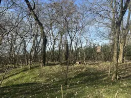 2 vrije percelen van totaal 4.710 m² in Spremberg, Brandenburg - Duitsland