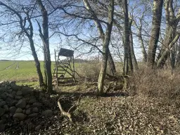 5 percelen van totaal 5.659 m² in Unterwellenborn, Thüringen - Duitsland