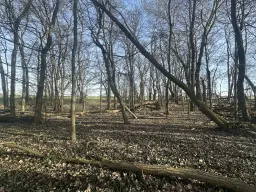 5 percelen van totaal 5.659 m² in Unterwellenborn, Thüringen - Duitsland