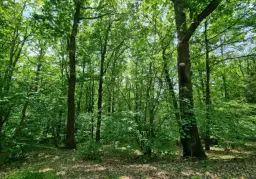 Ca. 1.440 m² eigendom perceel 