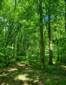 Ca. 1.440 m² eigendom perceel 
