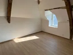 Gerenoveerd herenhuis met 6 slaapkamers/studo's in La Trimouille - Frankrijk