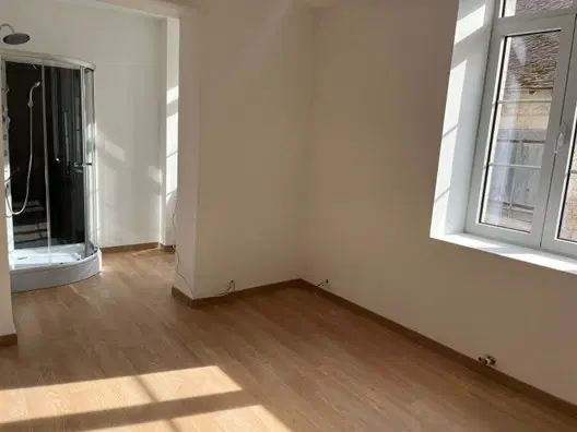 Gerenoveerd herenhuis met 6 slaapkamers/studo's in La Trimouille - Frankrijk