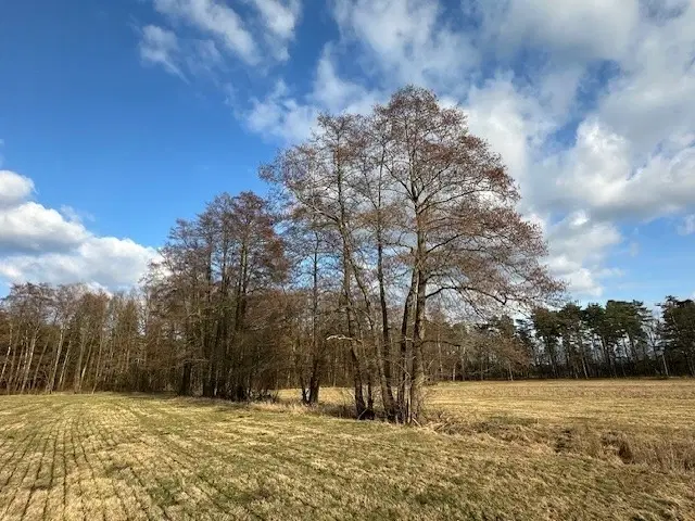 Ca. 5.060 m² perceel / bootcampbaan in Daubitz, Weißwasser - Duitsland