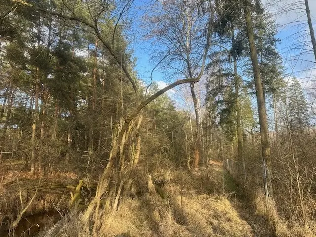 Ca. 5.060 m² perceel / bootcampbaan in Daubitz, Weißwasser - Duitsland