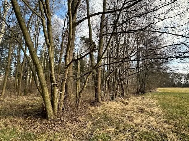 Ca. 5.060 m² perceel / bootcampbaan in Daubitz, Weißwasser - Duitsland