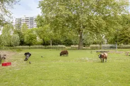 Ridderkerk, Burgemeester de Zeeuwstraat 27
