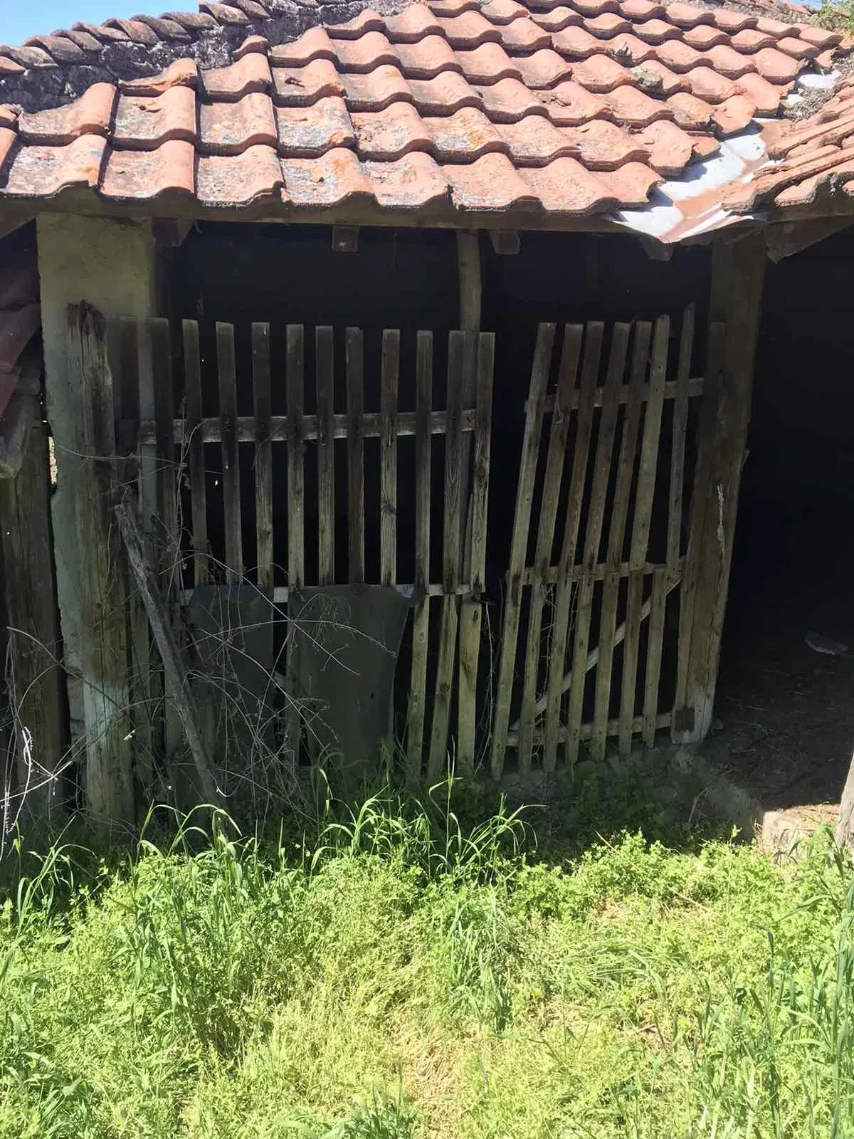 Authentiek 100 jaar oud landelijk huis + 1.006 m² grond in Glavan, Silistra - Bulgarije