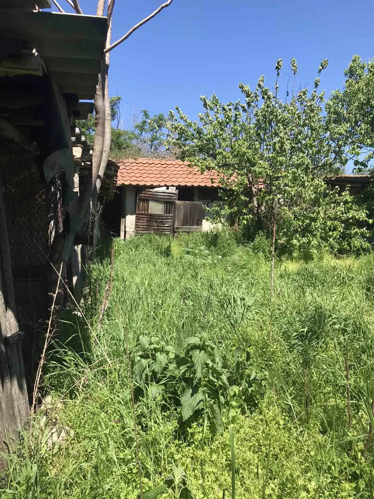 Authentiek 100 jaar oud landelijk huis + 1.006 m² grond in Glavan, Silistra - Bulgarije