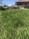 Authentiek 100 jaar oud landelijk huis + 1.006 m² grond in Glavan, Silistra - Bulgarije