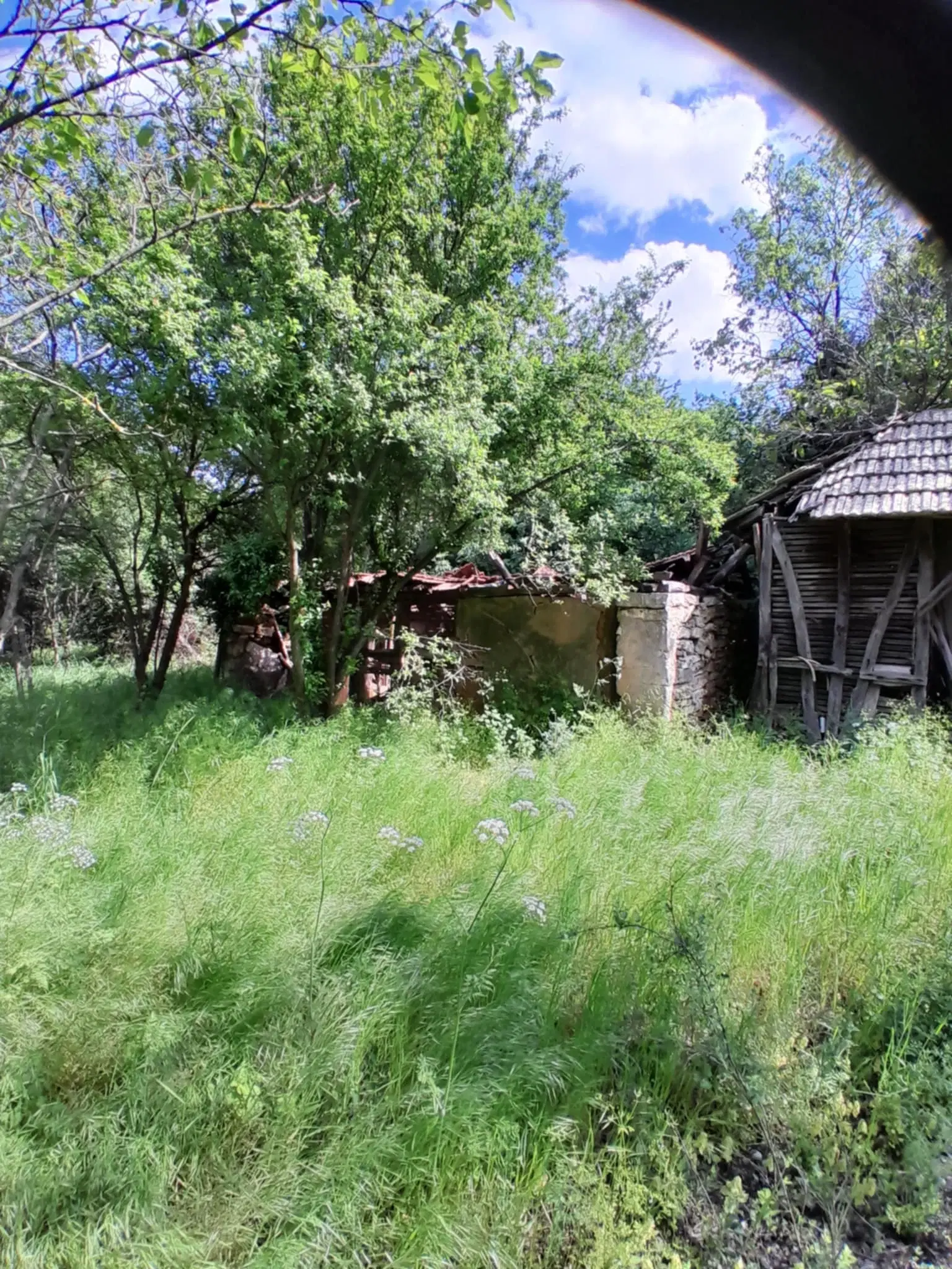 Klassiek Balkan huis op 1.604 m² in Vodna, Vidin - Bulgarije