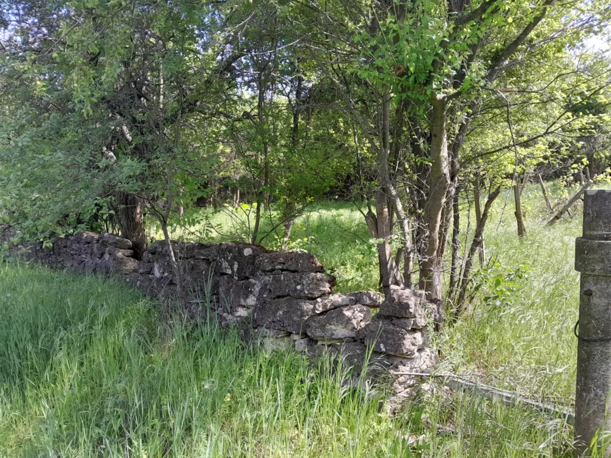Klassiek Balkan huis op 1.604 m² in Vodna, Vidin - Bulgarije