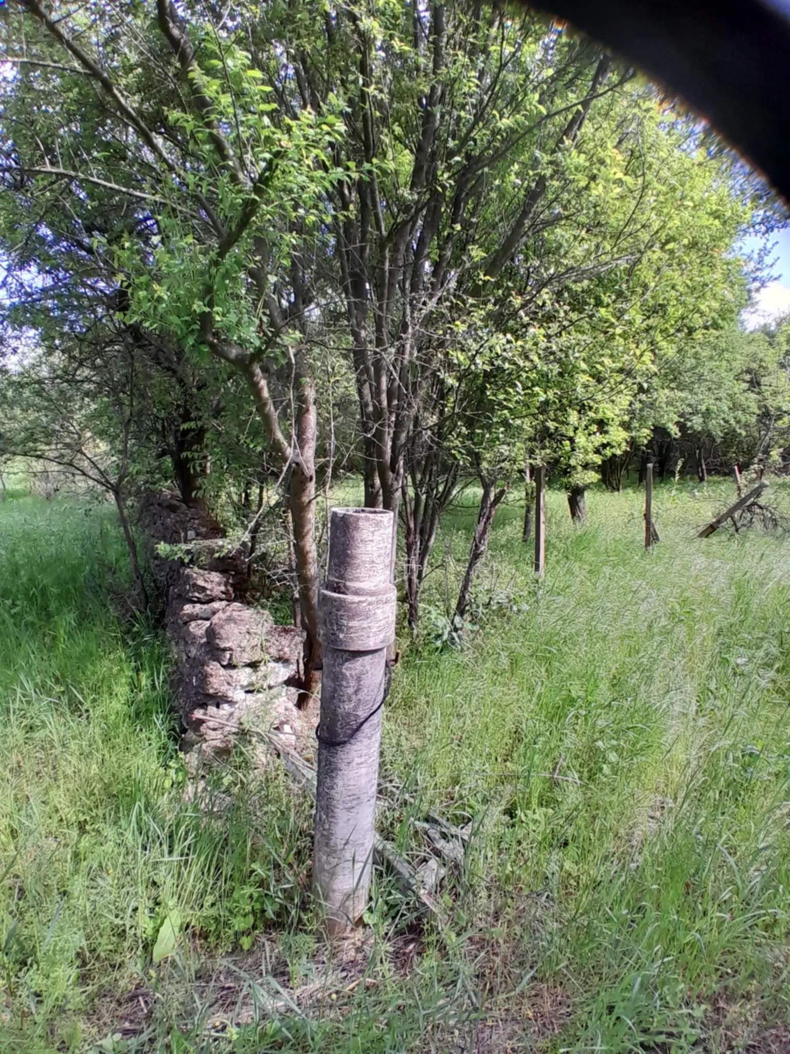 Klassiek Balkan huis op 1.604 m² in Vodna, Vidin - Bulgarije