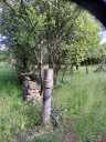 Klassiek Balkan huis op 1.604 m² in Vodna, Vidin - Bulgarije