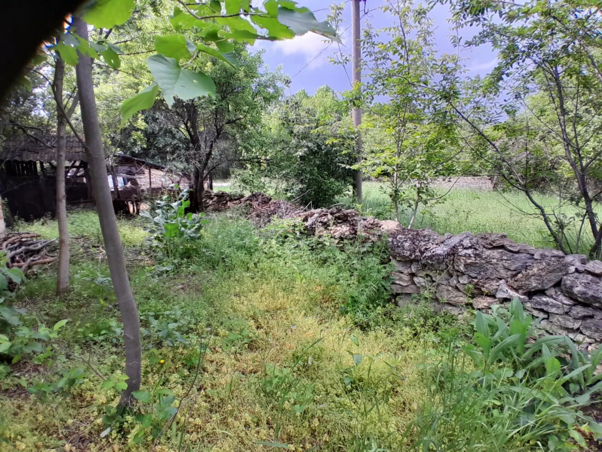 Klassiek Balkan huis op 1.604 m² in Vodna, Vidin - Bulgarije