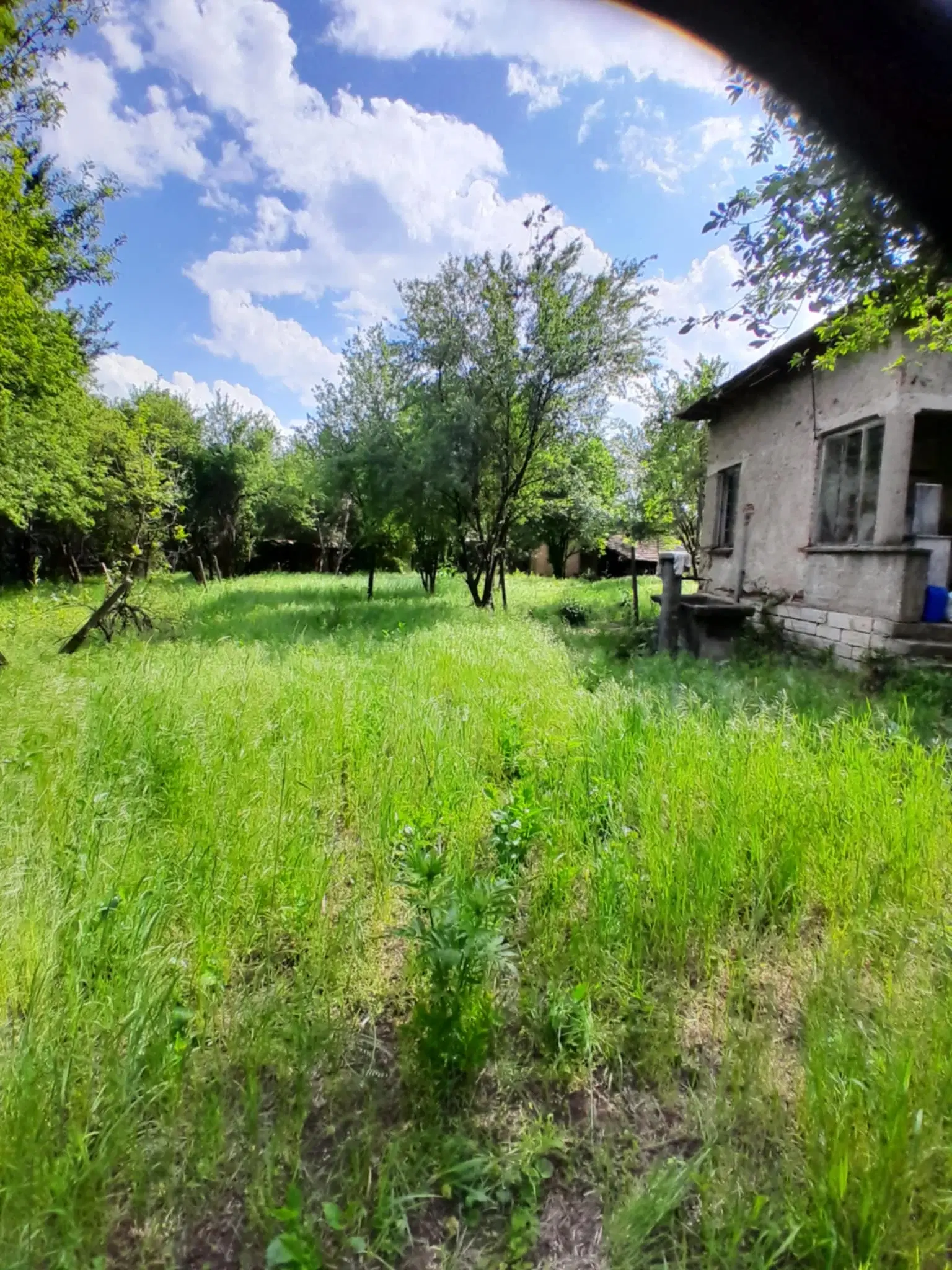 Klassiek Balkan huis op 1.604 m² in Vodna, Vidin - Bulgarije